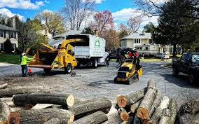 Best Seasonal Cleanup (Spring/Fall)  in Baden, MD