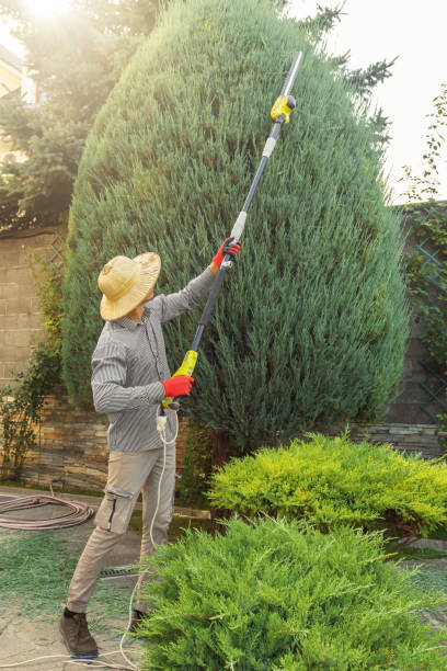 Best Lawn Grading and Leveling  in Baden, MD